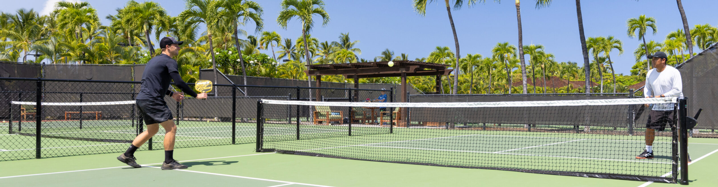 Two people playing pickleball on an outdoor court with palm trees in the background